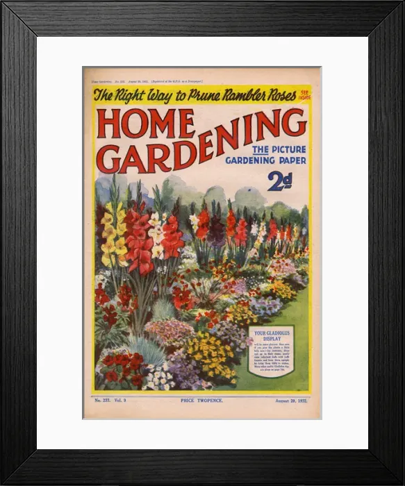 Framed Print : Home Gardening magazine, August 1932 Framed Print : Home Gardening magazine, August 1932