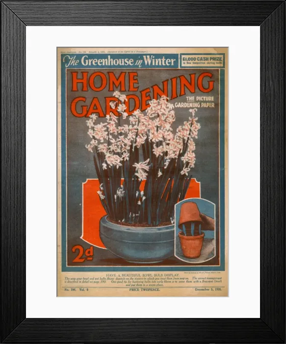 Framed Print : Home Gardening magazine, December 1931 Framed Print : Home Gardening magazine, December 1931