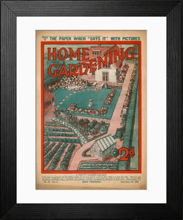 Framed Print : Home Gardening magazine, September 1928 Framed Print : Home Gardening magazine, September 1928