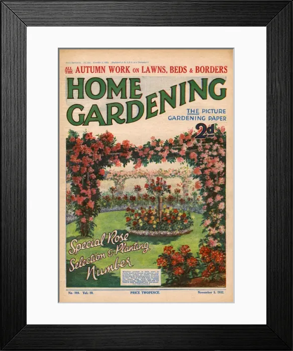 Framed Print : Home Gardening magazine, November 1932