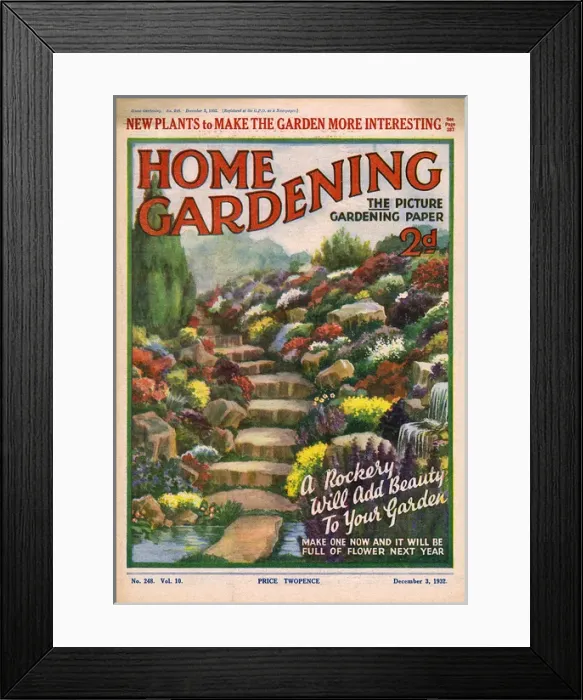 Framed Print : Home Gardening magazine, December 1932 Framed Print : Home Gardening magazine, December 1932