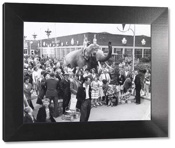 An elephant with holidaymakers at Butlins, Filey