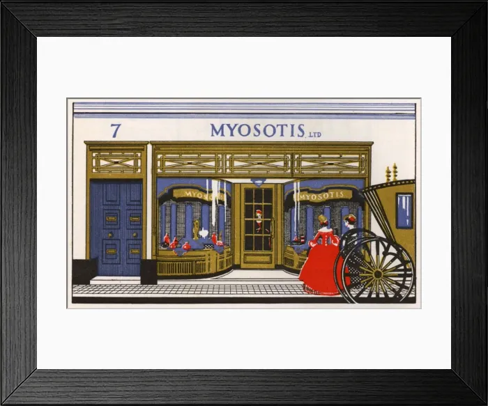 Framed Print : Myosotis advertisement Framed Print : Myosotis advertisement