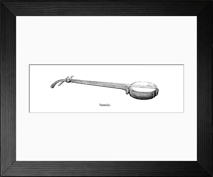 Framed Print : The shamisen, a Japanese musical instrument Framed Print : The shamisen, a Japanese musical instrument