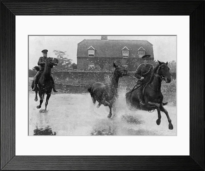 Framed Print : Breaking in colts for the Army, WW1