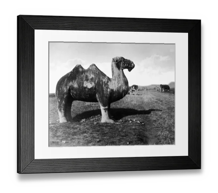 Framed Print : Statue on the road to Ming Tombs, Nanjing, China Framed Print : Statue on the road to Ming Tombs, Nanjing, China
