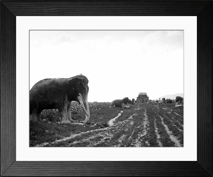 Framed Print : Statues on the road to Ming Tombs, Nanjing, China Framed Print : Statues on the road to Ming Tombs, Nanjing, China