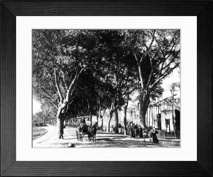 Framed Print : Street view, Cairo, Egypt Framed Print : Street view, Cairo, Egypt