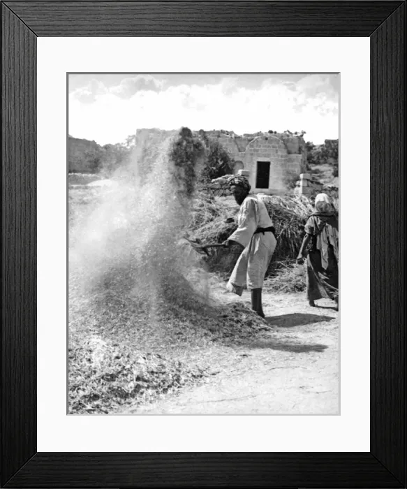 Framed Print : Man winnowing corn, Egypt Framed Print : Man winnowing corn, Egypt