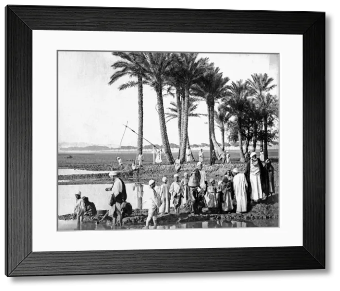 Framed Print : People on the banks of the River Nile, Egypt Framed Print : People on the banks of the River Nile, Egypt