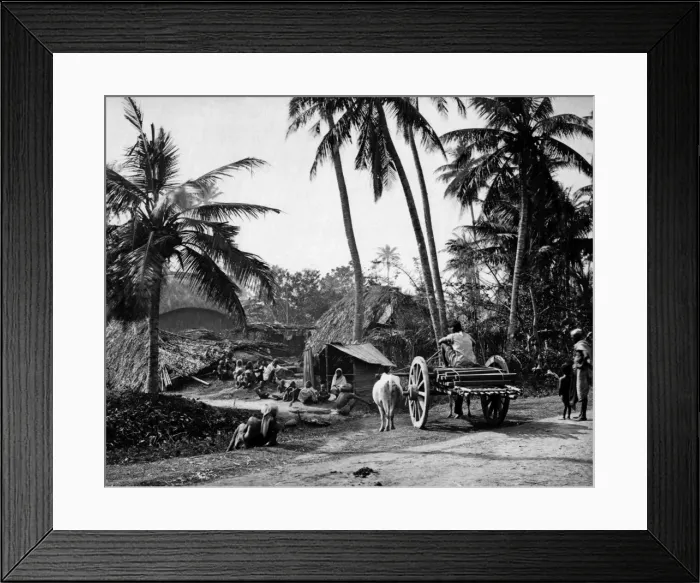 Framed Print : Country scene, Bengal, India Framed Print : Country scene, Bengal, India