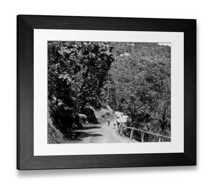 Framed Print : Simla (Shimla), Himachal Pradesh, India Framed Print : Simla (Shimla), Himachal Pradesh, India