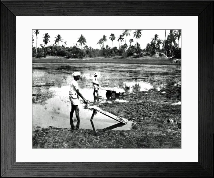 Framed Print : Dhobis washing clothes, India Framed Print : Dhobis washing clothes, India