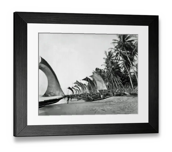 Framed Print : Fishing boats, Ceylon (Sri Lanka) Framed Print : Fishing boats, Ceylon (Sri Lanka)