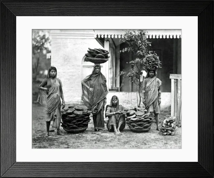 Framed Print : Manure dryers, Bombay (Mumbai), India Framed Print : Manure dryers, Bombay (Mumbai), India