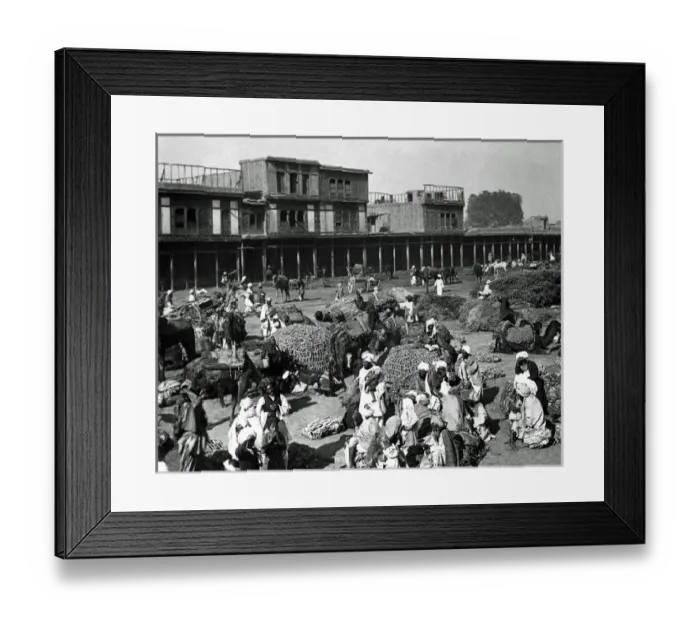 Framed Print : Caravan Halt, Peshawar, India (now in Pakistan) Framed Print : Caravan Halt, Peshawar, India (now in Pakistan)