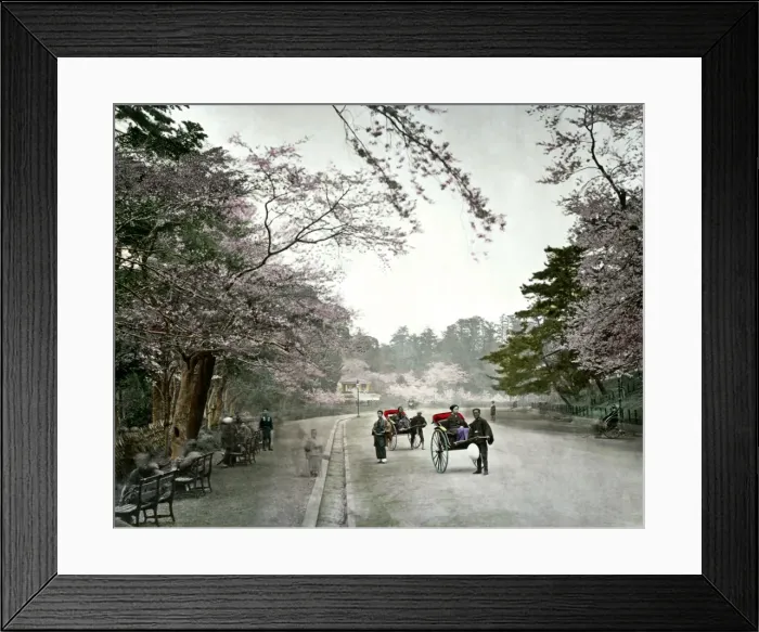 Framed Print : Ueno Park, Tokyo, Japan Framed Print : Ueno Park, Tokyo, Japan