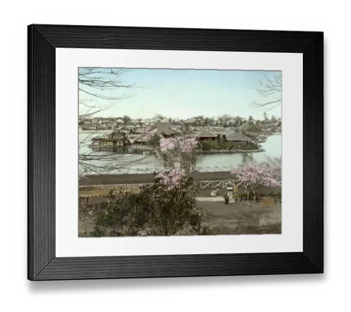 Framed Print : Ueno Park, Tokyo, Japan Framed Print : Ueno Park, Tokyo, Japan