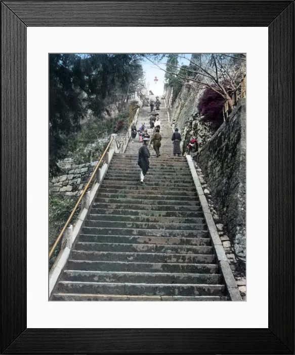 Framed Print : Long flight of steps, Japan Framed Print : Long flight of steps, Japan