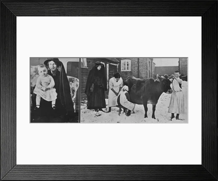 Framed Print : Lady Petres milking school, WW1 Framed Print : Lady Petres milking school, WW1