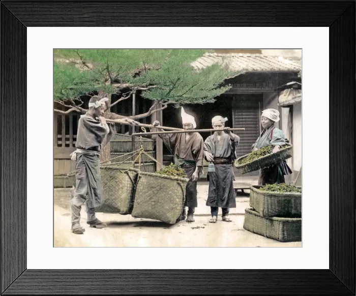 Framed Print : Weighing tea, Japan Framed Print : Weighing tea, Japan