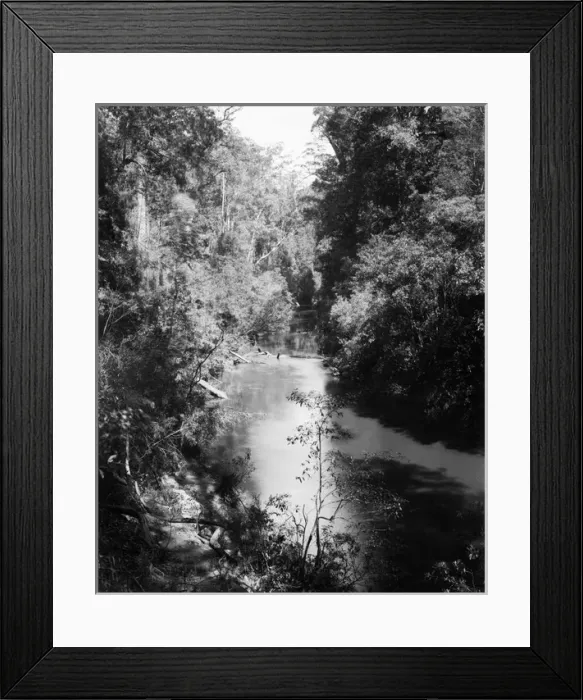Framed Print : Freshwater River, National Park, Australia Framed Print : Freshwater River, National Park, Australia