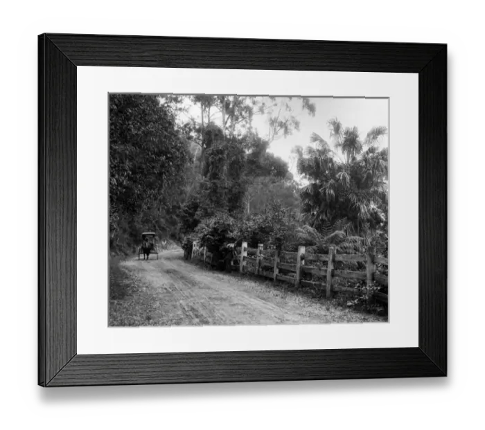 Framed Print : Bulli Pass, Illawarra District, New South Wales, Australia Framed Print : Bulli Pass, Illawarra District, New South Wales, Australia