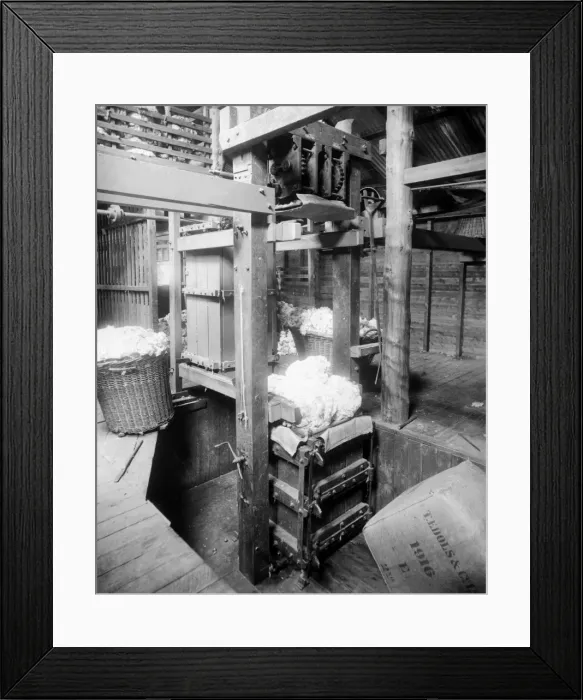 Framed Print : Baling fleeces, Burrawang, Australia Framed Print : Baling fleeces, Burrawang, Australia