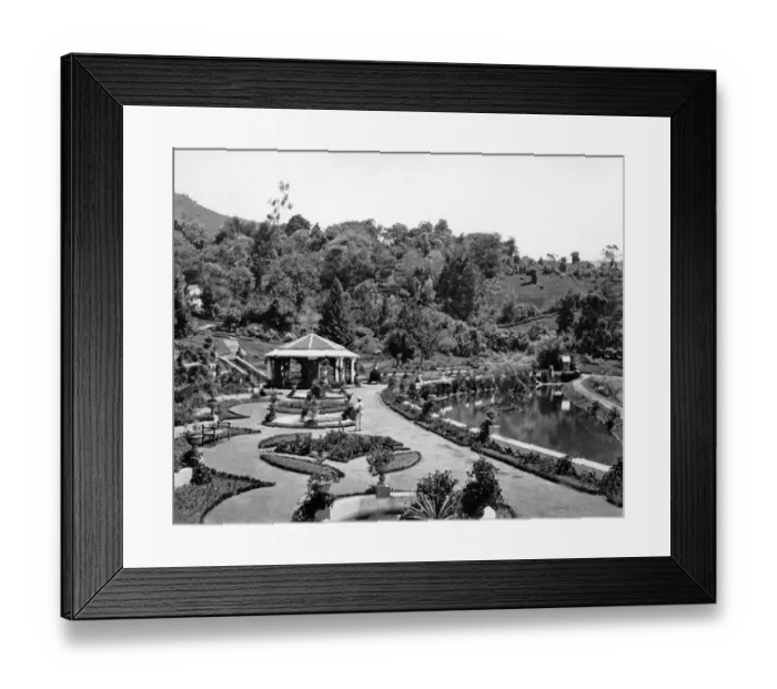 Framed Print : Botanical Gardens, Ootacamund, Tamil Nadu, India Framed Print : Botanical Gardens, Ootacamund, Tamil Nadu, India