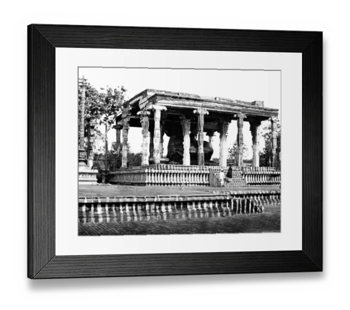 Framed Print : Great Stone Bull, Tanjore, Tamil Nadu, India Framed Print : Great Stone Bull, Tanjore, Tamil Nadu, India