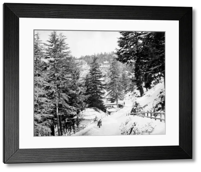 Framed Print : Simla (Shimla), Himachal Pradesh, India Framed Print : Simla (Shimla), Himachal Pradesh, India