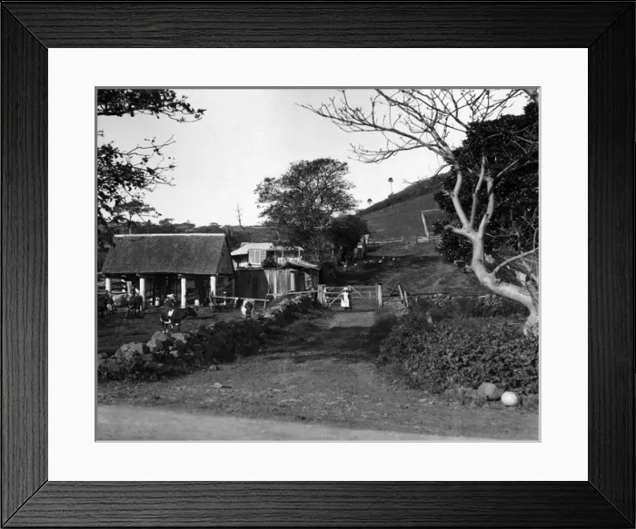 Framed Print : Mountain Dairy, Illawarra District, Australia Framed Print : Mountain Dairy, Illawarra District, Australia