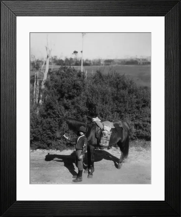 Framed Print : Taking milk to town, Shoalhaven, New South Wales, Australia Framed Print : Taking milk to town, Shoalhaven, New South Wales, Australia