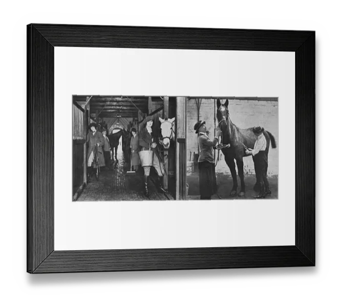 Framed Print : Women working at convalescent remount depot, WW1 Framed Print : Women working at convalescent remount depot, WW1