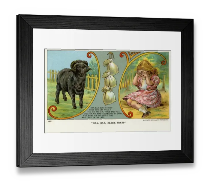 Framed Print : Baa, Baa, Black Sheep Framed Print : Baa, Baa, Black Sheep