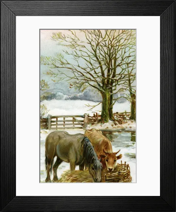 Framed Print : Rural winter scene Framed Print : Rural winter scene