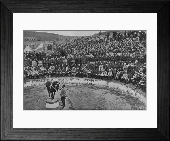 Framed Print : An open-air circus, recreation in Salonika, WW1 Framed Print : An open-air circus, recreation in Salonika, WW1