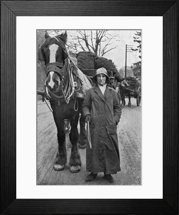 Framed Print : Lady with carthorse and coal, WW1 Framed Print : Lady with carthorse and coal, WW1
