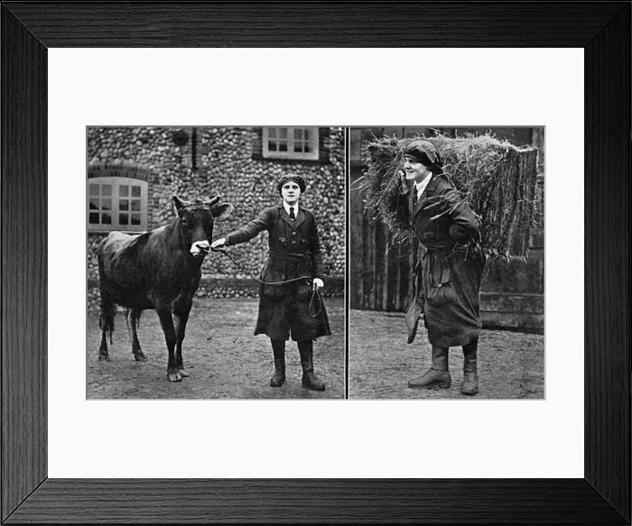 Framed Print : Women working land in Cley, Norfolk, WW1 Framed Print : Women working land in Cley, Norfolk, WW1