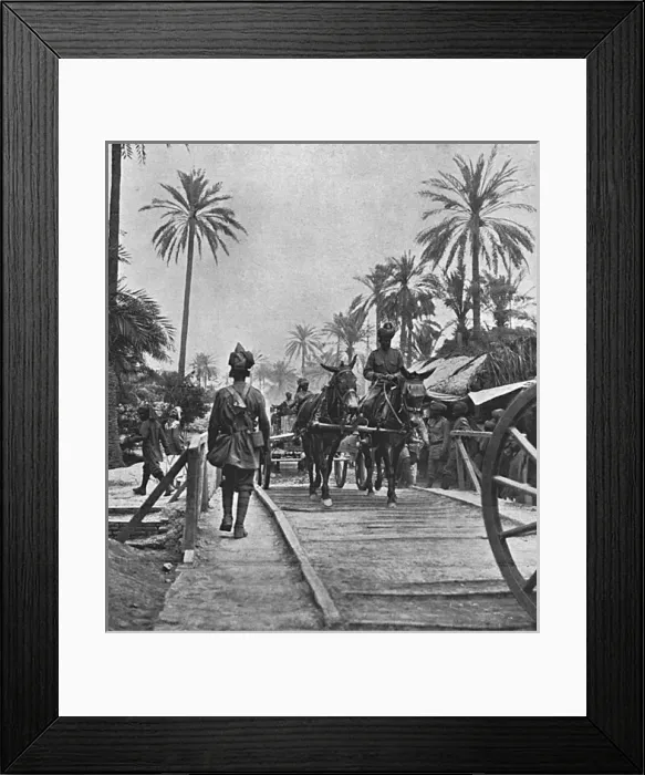 Framed Print : Indian transport in Mesopotamia, 1916 Framed Print : Indian transport in Mesopotamia, 1916