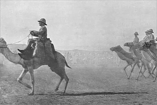 British Camel Corps in the Sudan, 1916
