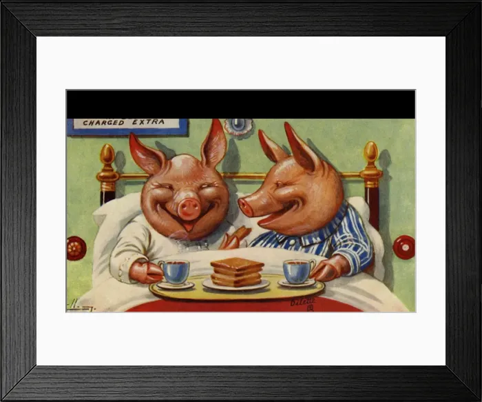 Framed Print : Pigs breakfast in bed Framed Print : Pigs breakfast in bed