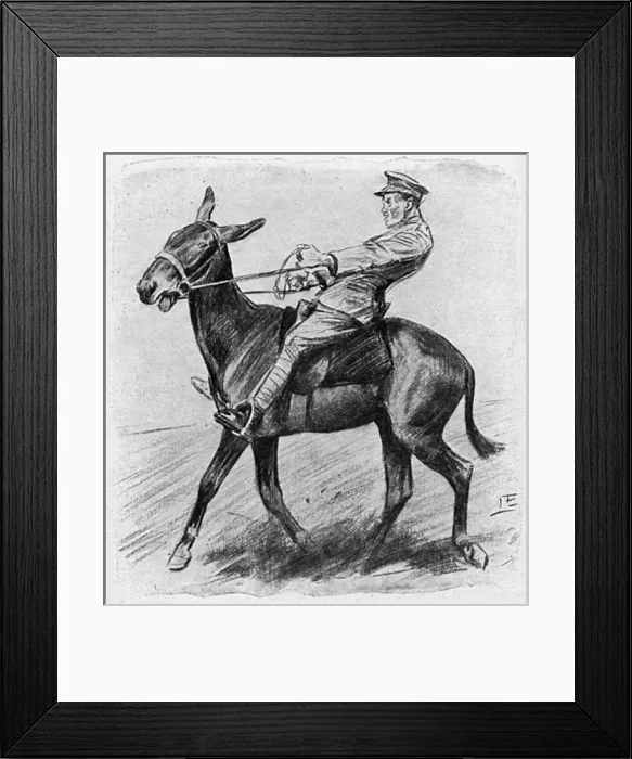 Framed Print : Halting a mule, WW1 Framed Print : Halting a mule, WW1
