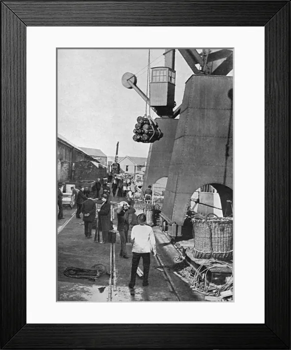 Framed Print : Munitions being loaded onto battleship, WW1 Framed Print : Munitions being loaded onto battleship, WW1
