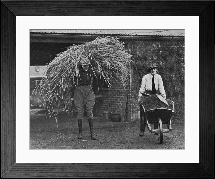 Framed Print : Women working at Army Remount Depot, WW1 Framed Print : Women working at Army Remount Depot, WW1