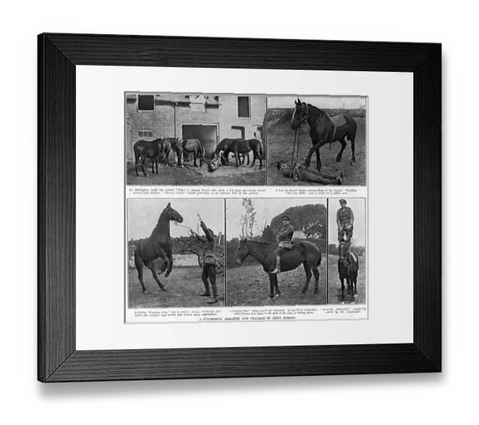 Framed Print : Lieutenant Rimington - breaker & teacher of Army horses, WW1 Framed Print : Lieutenant Rimington - breaker & teacher of Army horses, WW1