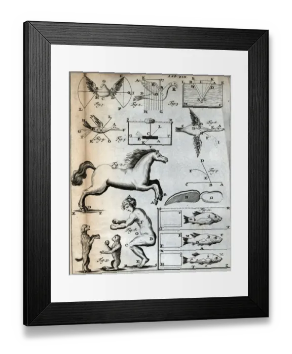 Framed Print : Animals and human figure Framed Print : Animals and human figure