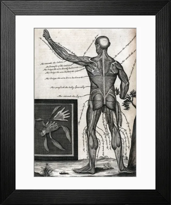 Framed Print : View of male, from back Framed Print : View of male, from back