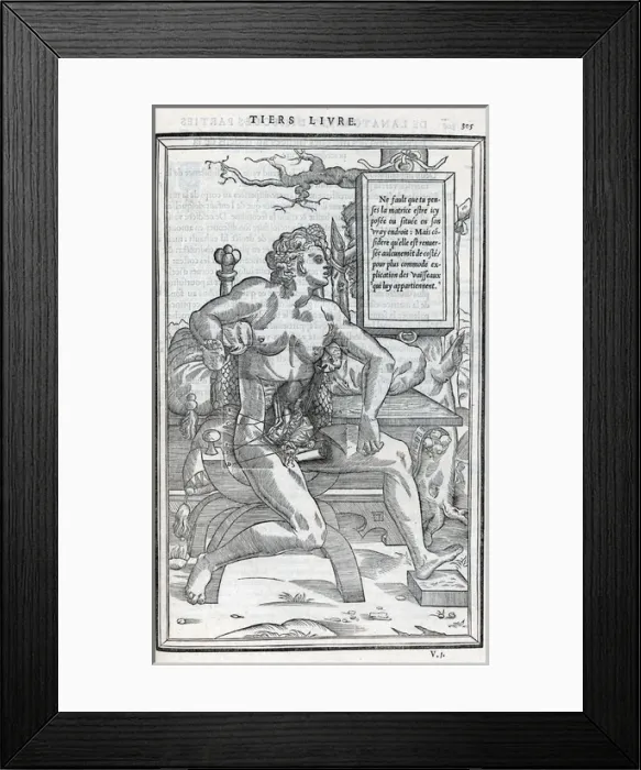 Framed Print : Anatomical drawings; dissection Framed Print : Anatomical drawings; dissection