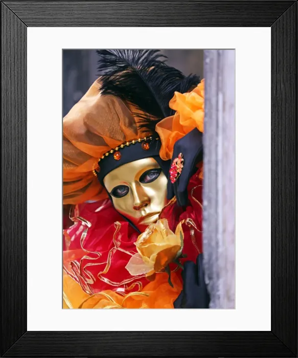 Framed Print : Woman wearing Venice Carnival Costume Framed Print : Woman wearing Venice Carnival Costume